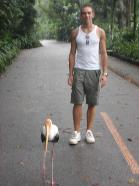 Adam chasing a bird, Singapore