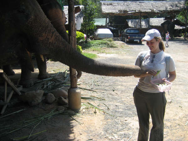 Carly feeding the elephant