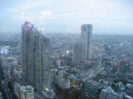 View from Tokyo Met Building, Tokyo