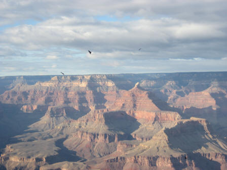 Grand Canyon, Arizona, USA