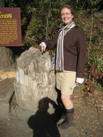 Stone tree in the Petrified Forest, Calistoga, California,USA