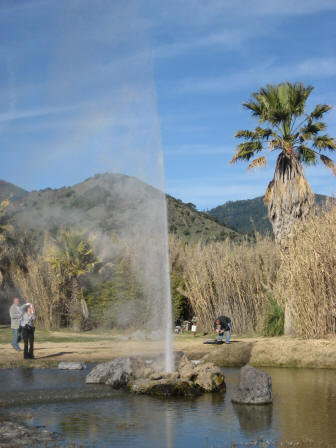 Old Faithful Geyser of California, Calistoga, California,USA