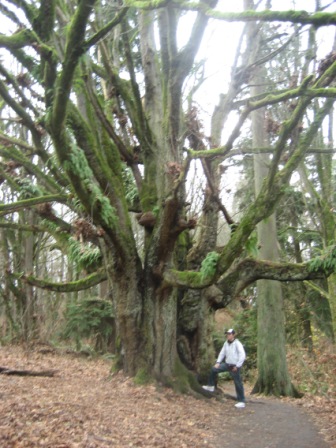 Discovery Park, Seattle, USA